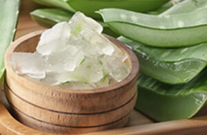 Image of aloe vera gel in a wooden bowl with the aloe vera plant leaves laying behind the bowl. Image of aloe vera gel in a wooden bowl with the aloe vera plant leaves laying behind the bowl.