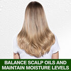 Tea Tree Oil Shampoo, , large image number null