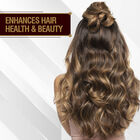 Argan Oil Conditioner, , large image number null