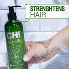 Tea Tree Oil Shampoo, , large image number null