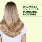 Tea Tree Oil Conditioner - 25 Ounces, , large image number null