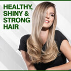 Tea Tree Oil Shampoo, , large image number null
